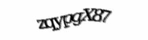 Security check image, please type the characters shown
